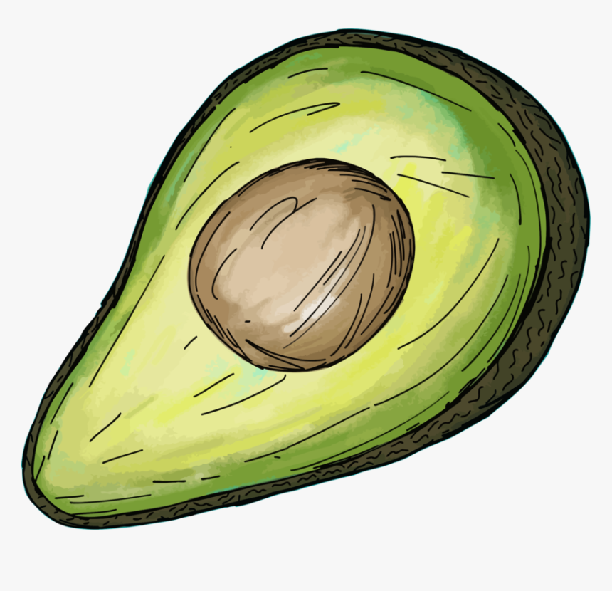 Plant,food,avocado - Clip Art, HD Png Download, Free Download