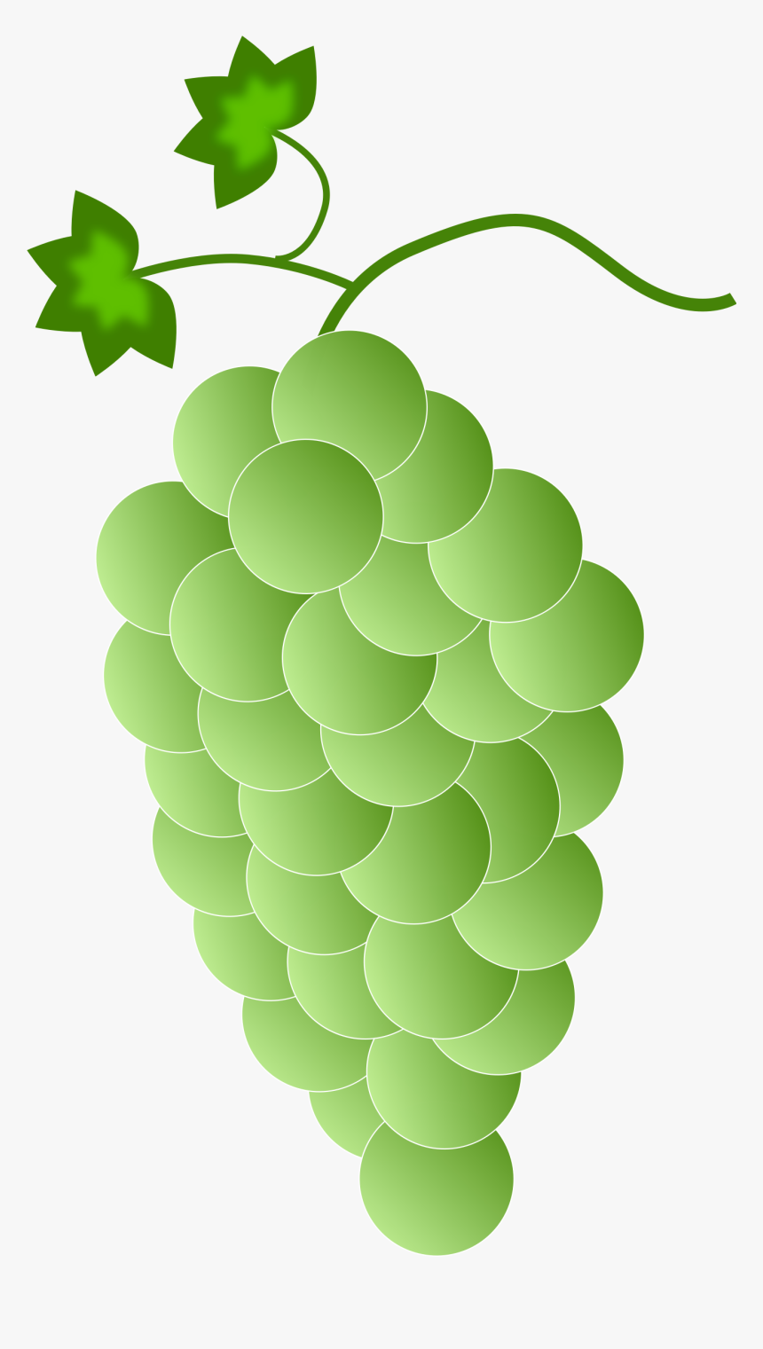 Greenwhite Grapes Clip Arts - Purple Grapes, HD Png Download, Free Download