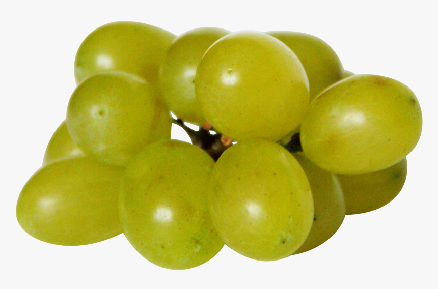 Transparent Grapes Png Weintrauben Giftig Für Hunde, Png Download