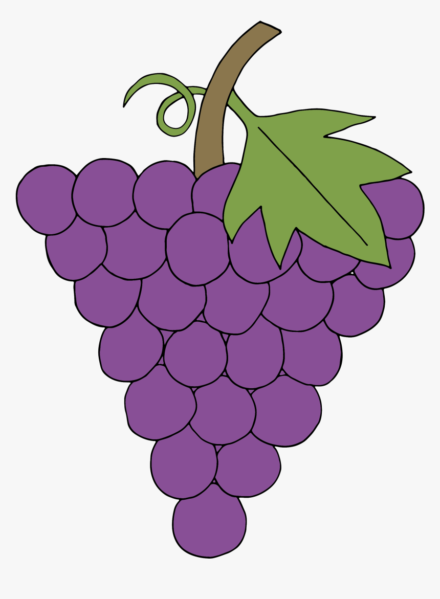 Transparent Grape Clipart - Grape, HD Png Download, Free Download