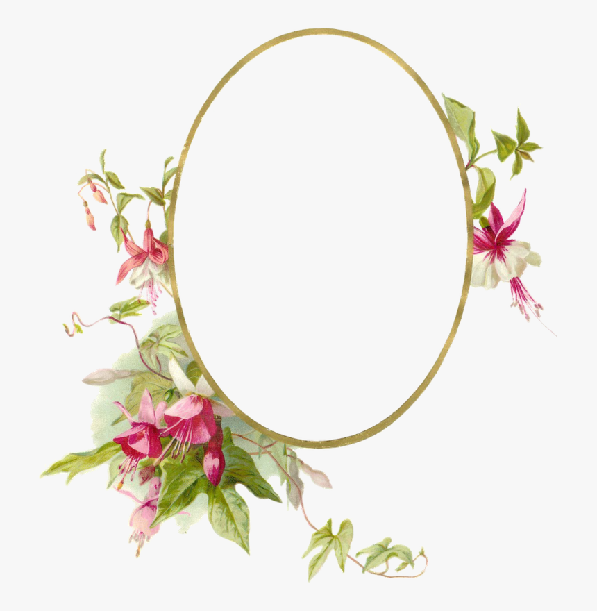 Transparent Oval Shape Png - Png Oval Shape With Flower, Png Download, Free Download