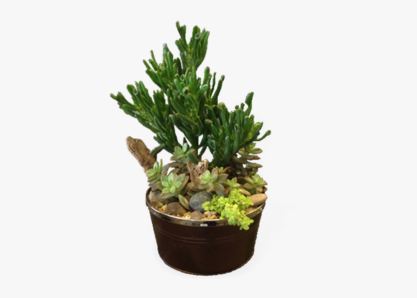 Flowerpot, HD Png Download, Free Download