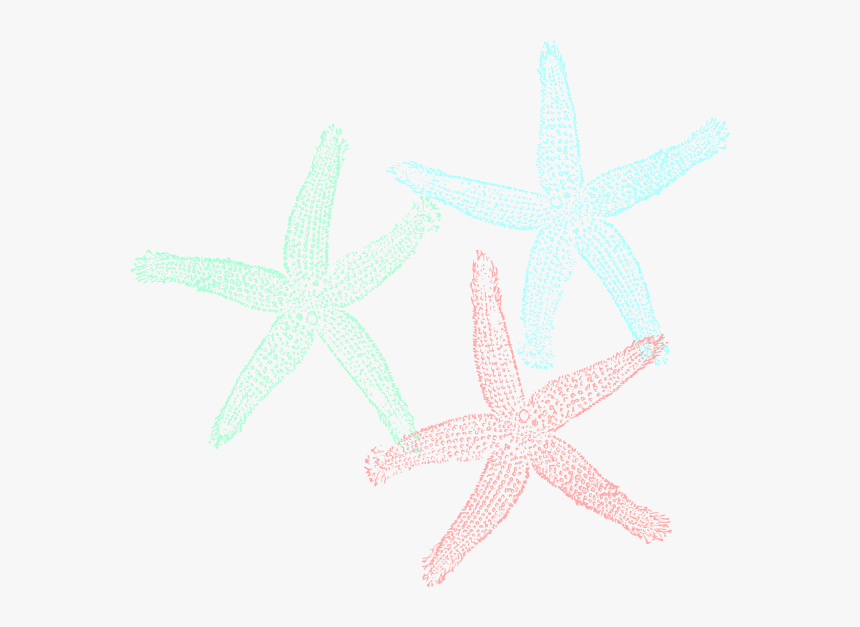 Starfish Svg Clip Arts Fish Clip Art Hd Png Download Kindpng