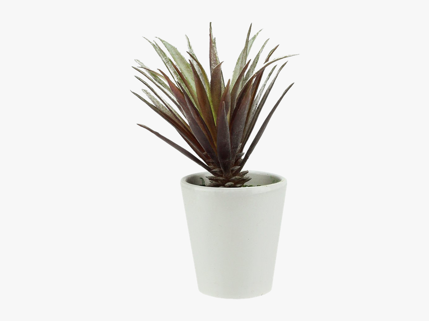 Transparent Desk Plant Png, Png Download, Free Download