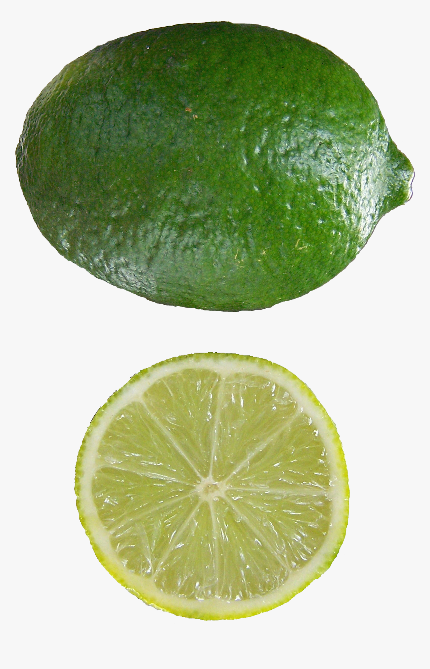 Citrus Aurantifolia Mexican Lime - Citrus Aurantiifolia, HD Png Download, Free Download