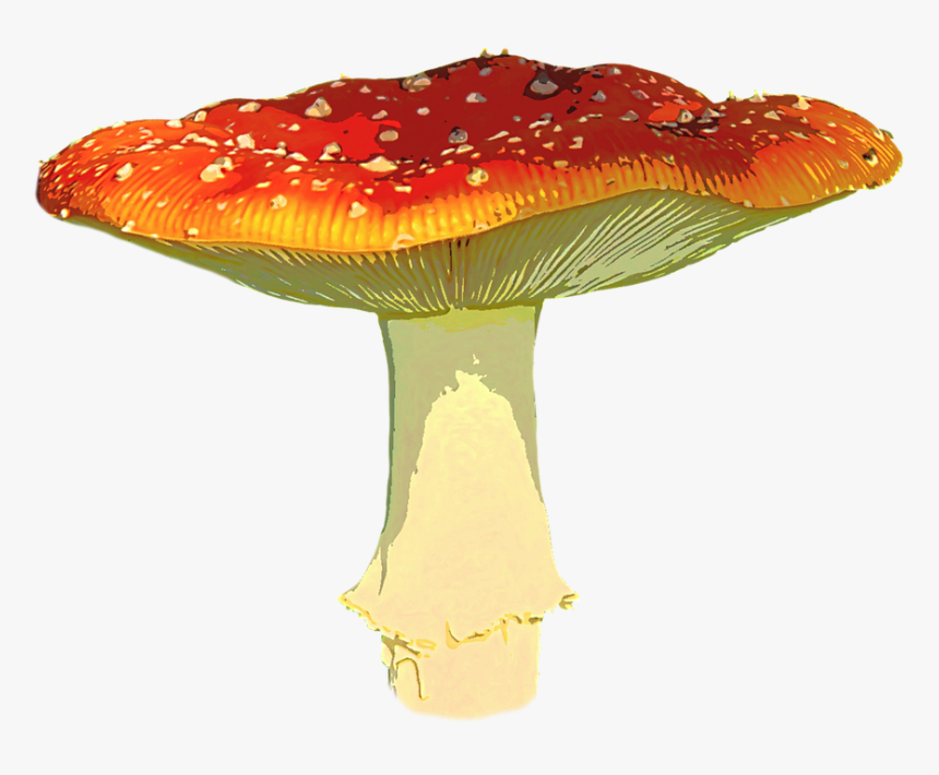 Mushroom Clip Art, HD Png Download, Free Download