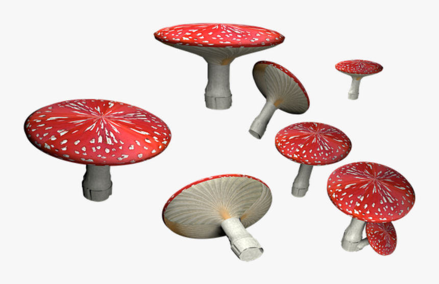 Amanita Muscaria Png Hd - Png Transparent Png Mushrooms, Png Download, Free Download