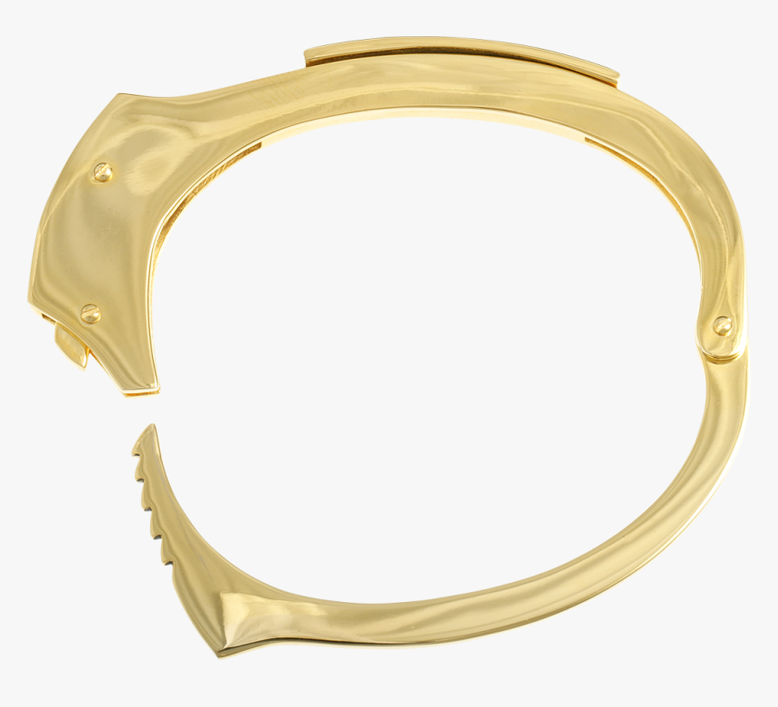 Bangle, HD Png Download, Free Download