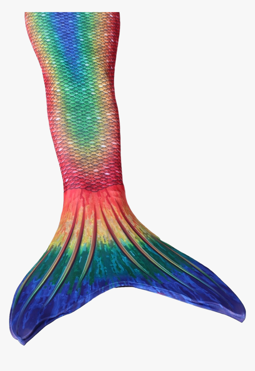 Mermaid Tail Png - Mermaid Tails, Transparent Png, Free Download