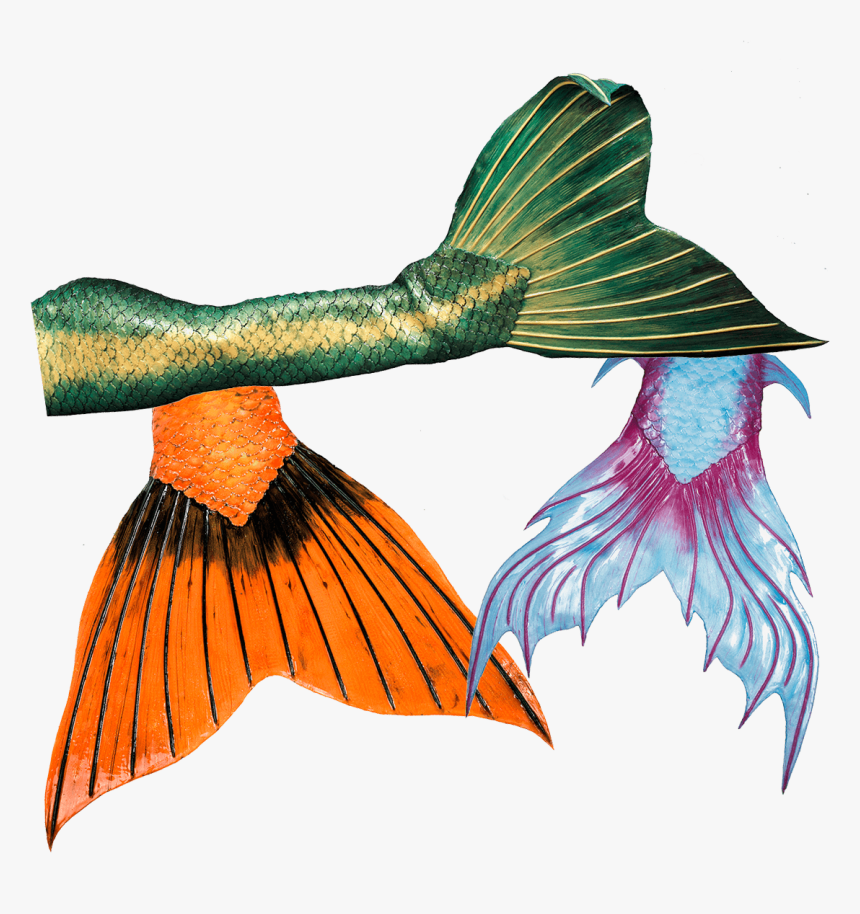 Silicone Mermaid Tails made just for you by AquaMermaid!