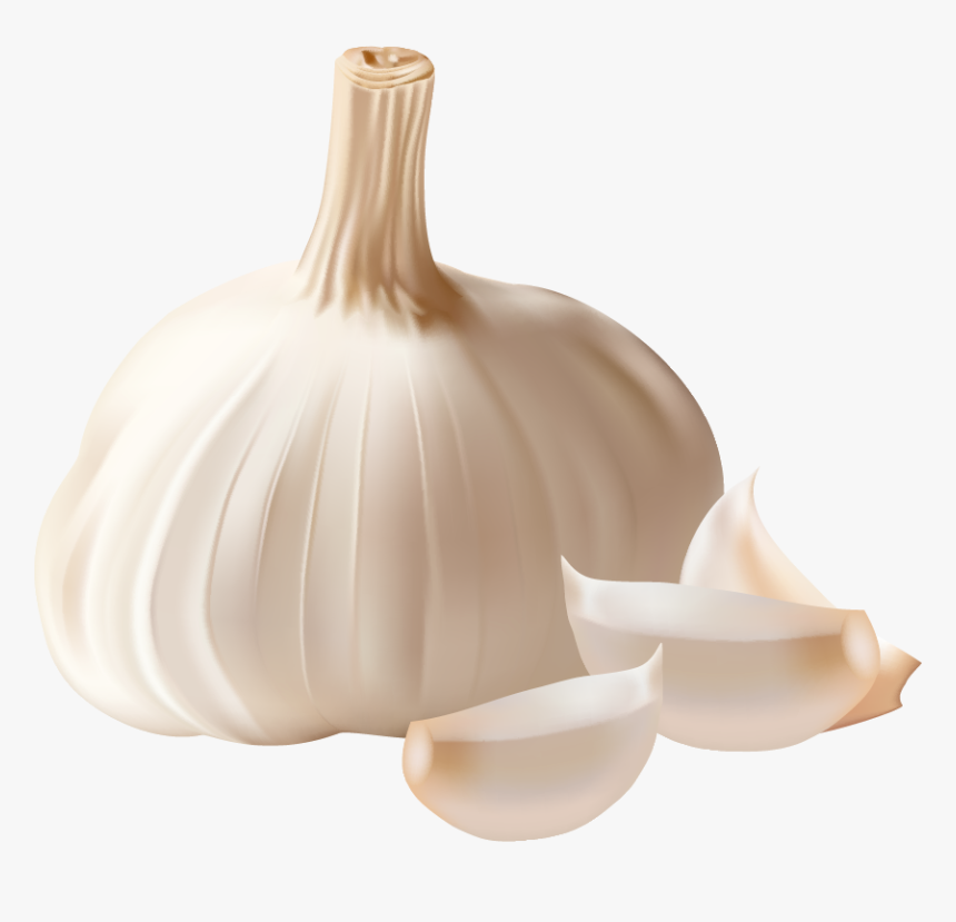 Garlic Png, Transparent Png, Free Download