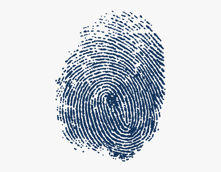 Automated Fingerprint Identification Spiral Adermatoglyphia - Fingerprints Png, Transparent Png, Free Download