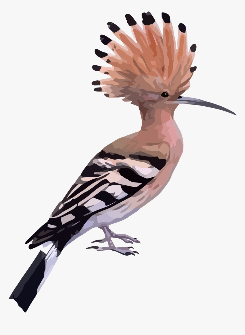 High Resolution Wallpaper - Hoopoe Bird Png, Transparent Png, Free Download