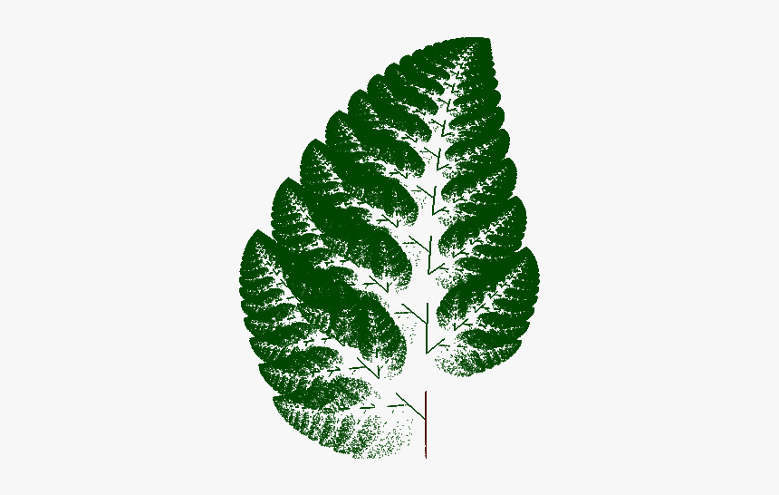 Fern1 - Illustration, HD Png Download, Free Download