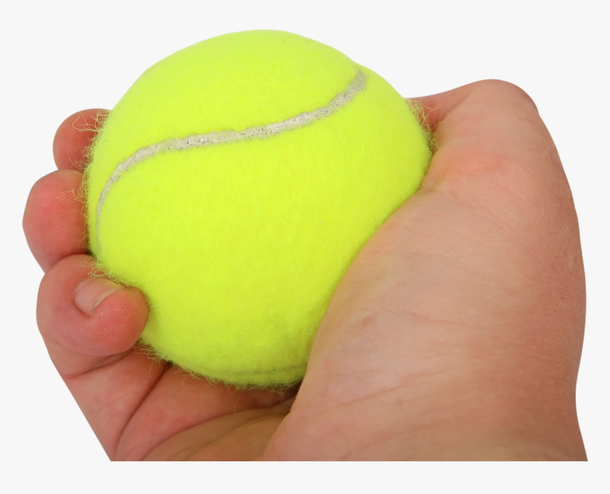 Tennis Ball In Hand Png Image, Transparent Png, Free Download