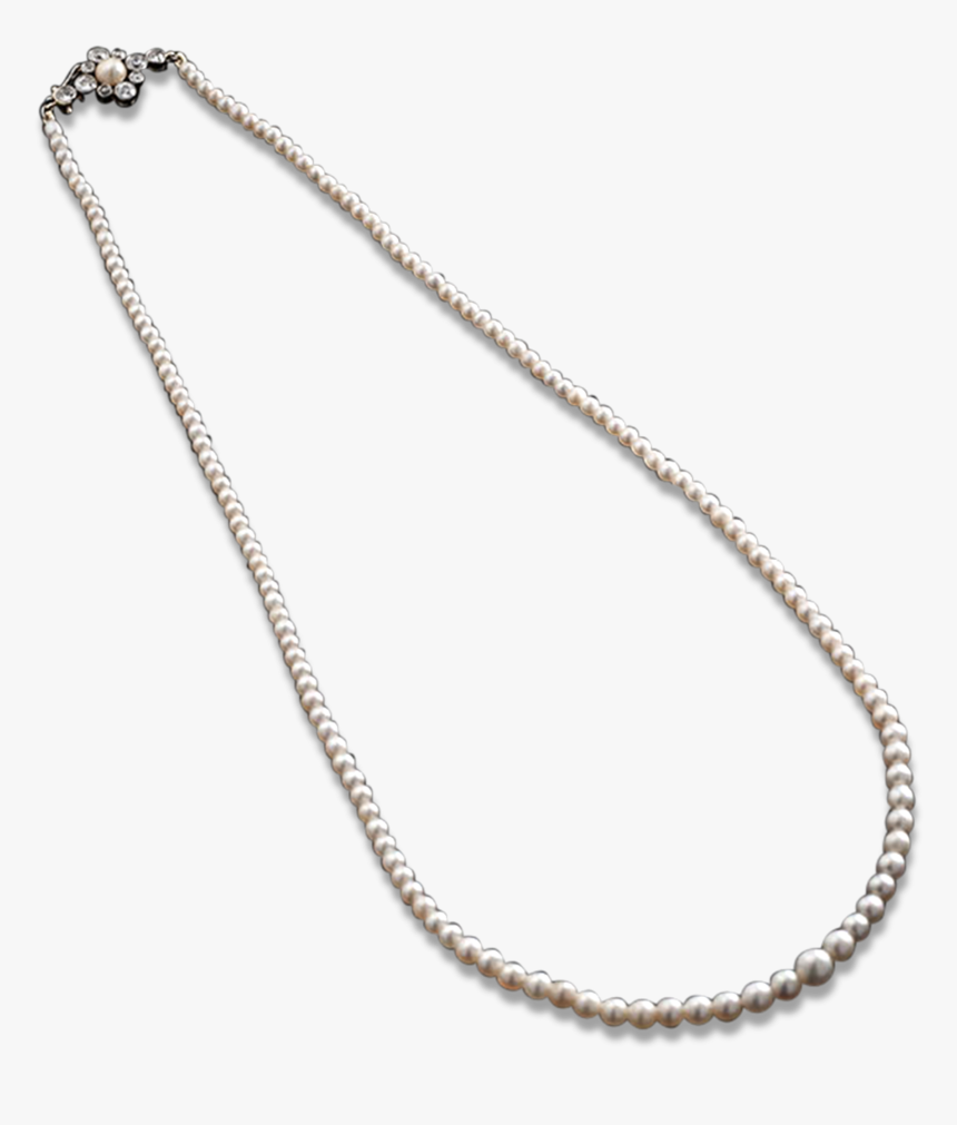 Graduated Saltwater Pearl Necklace - Chain, HD Png Download, Free Download