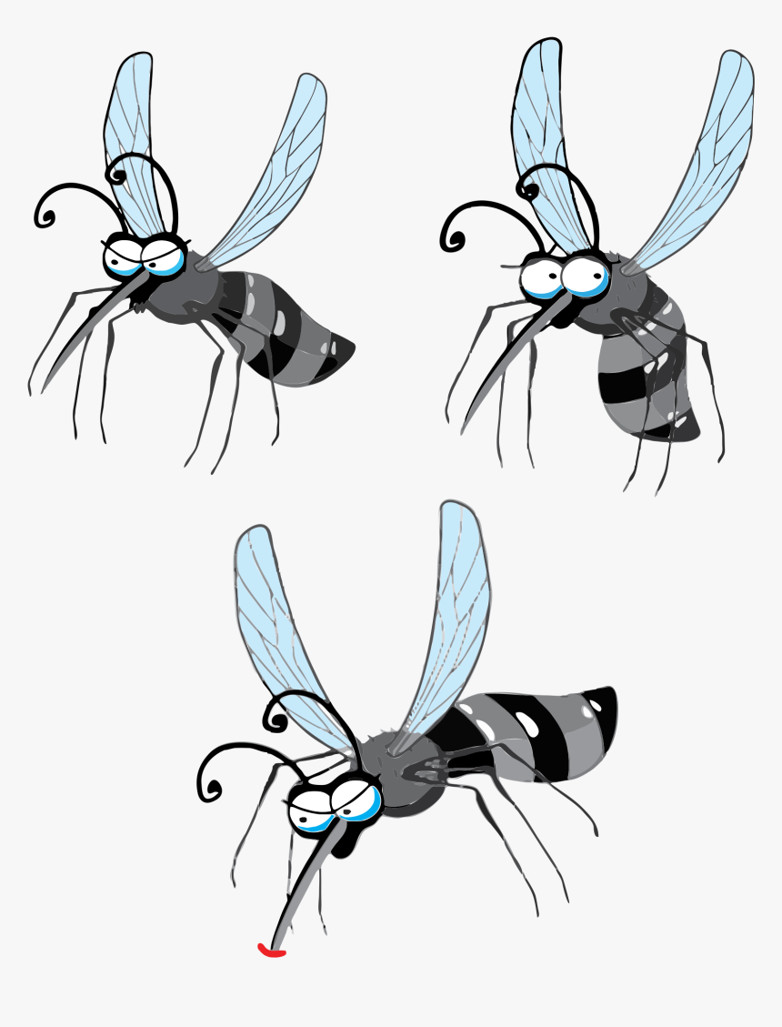 Transparent House Fly Png - Flying Mosquito Png Transparent, Png Download, Free Download