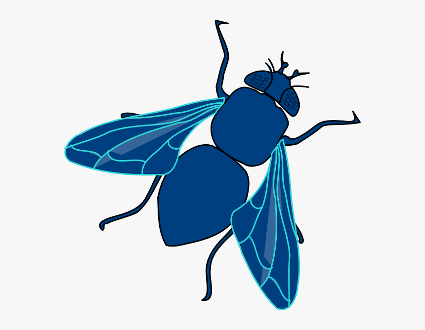 Download Fly Png Transparent Image - Fly Clip Art, Png Download, Free Download