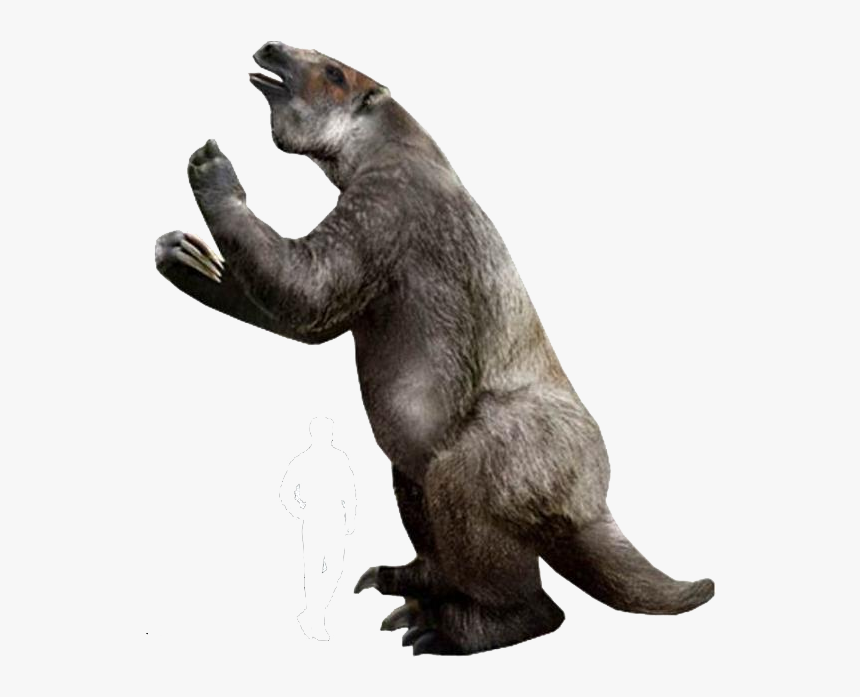 Megatherium Was A Genus Of Rhino-sized Ground Sloths - Giant Ground Sloth Png, Transparent Png, Free Download