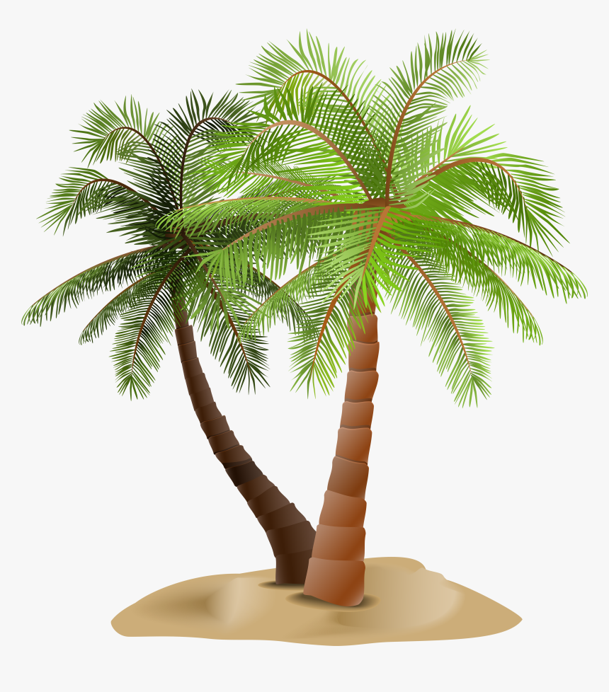 Palms In Sand Transparent - Palm Tree Transparent, HD Png Download ...