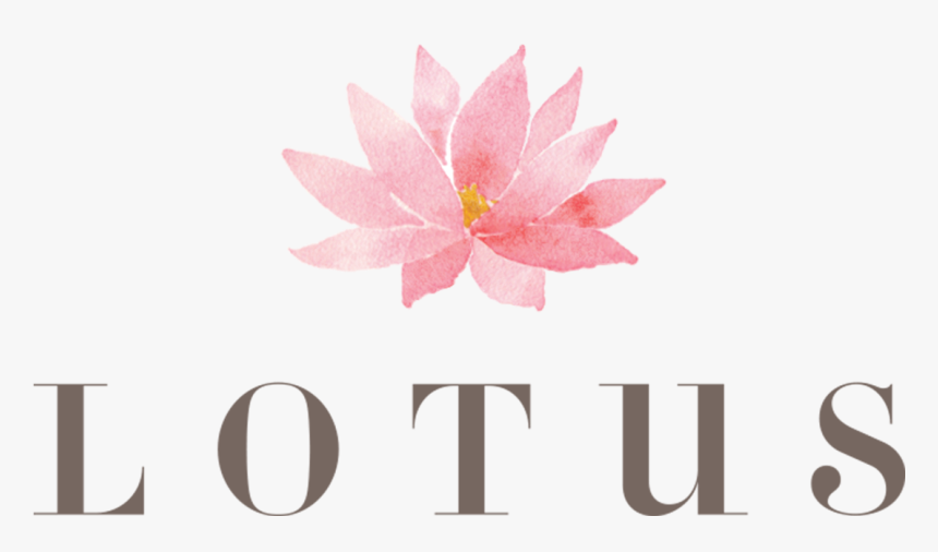 Sacred Lotus, HD Png Download, Free Download