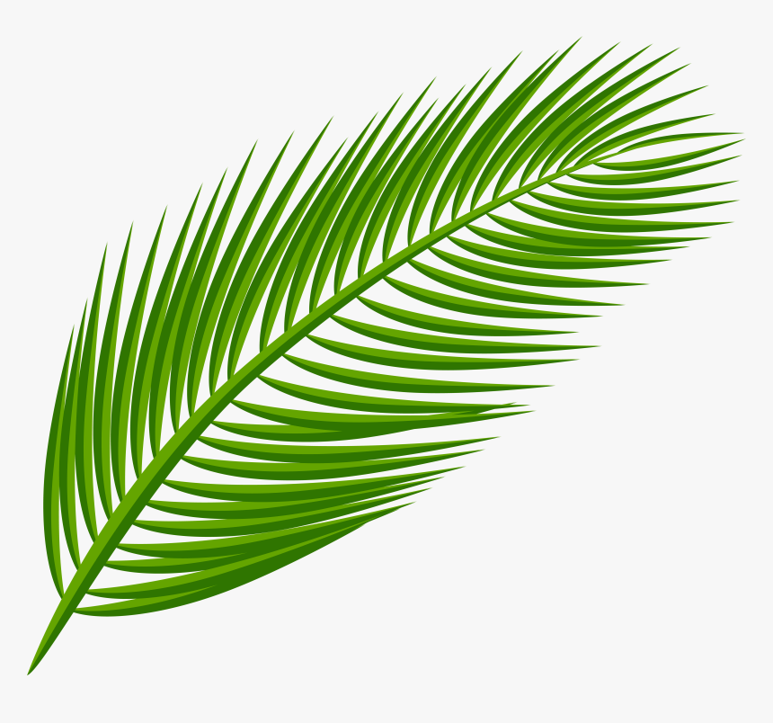 Arecaceae Palm Leaf Transparent Png File Hd Clipart, Png Download, Free Download