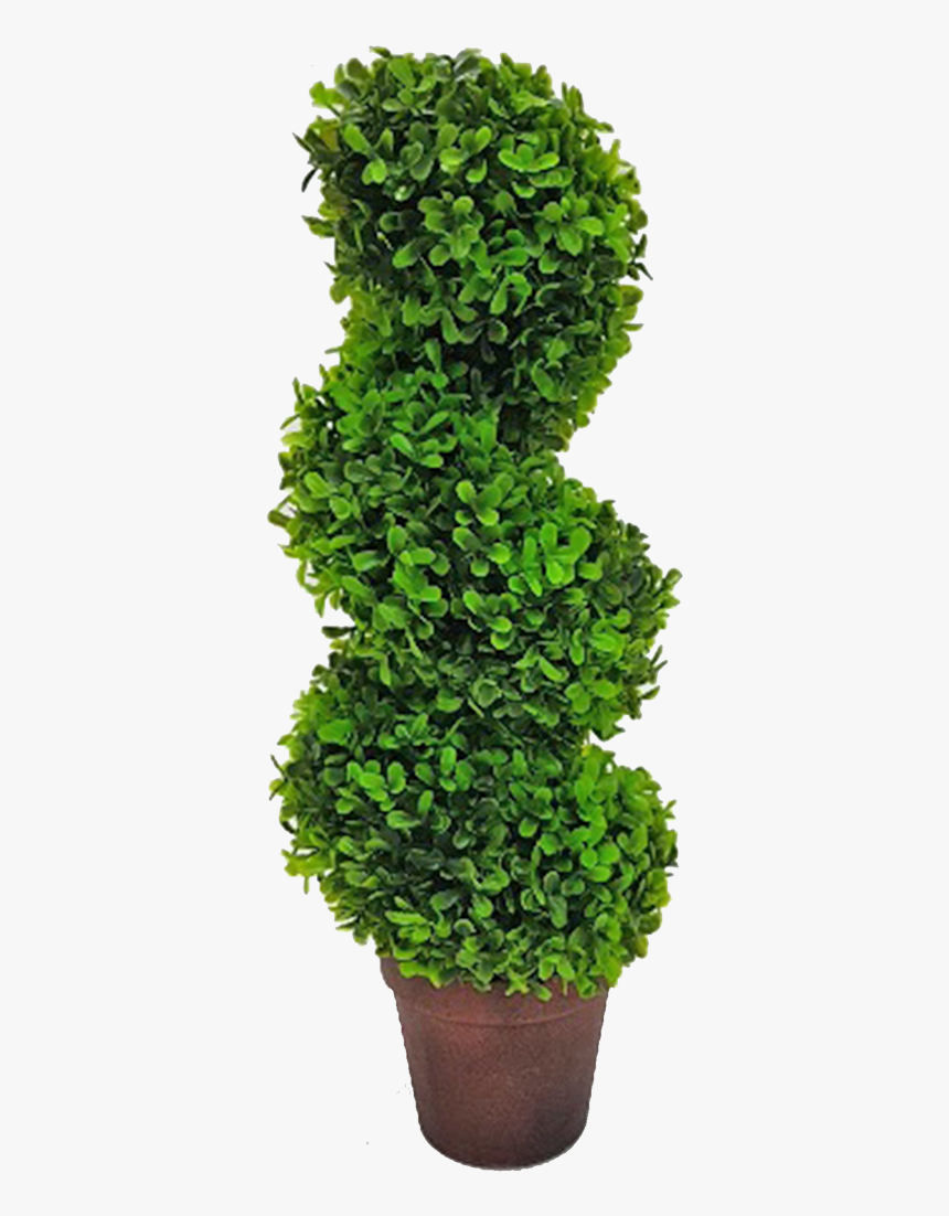 Topiary Tree Spiral - Grass, HD Png Download, Free Download