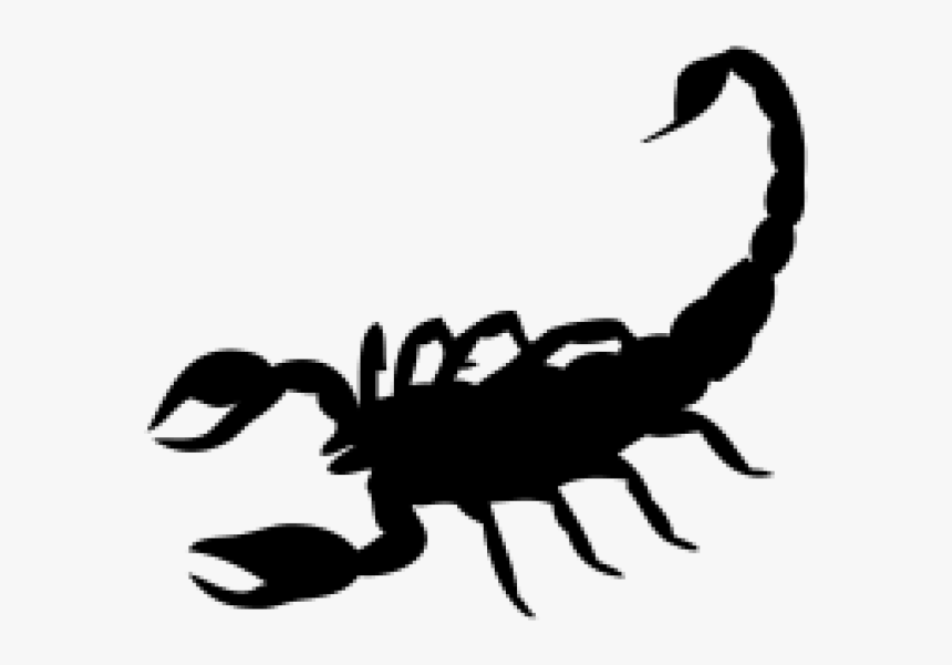 Wild scorpion Free Stock Vectors