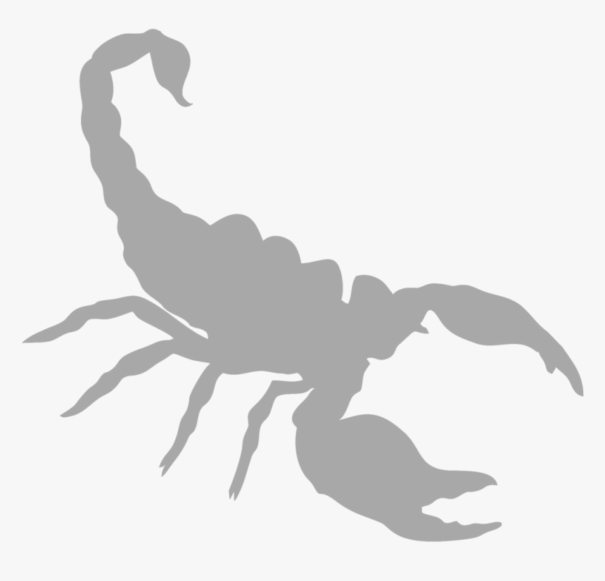 Wild Kratts Scorpion Power, HD Png Download, Free Download