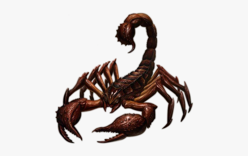 Scorpion Png Free Download - Scorpion Png, Transparent Png, Free Download