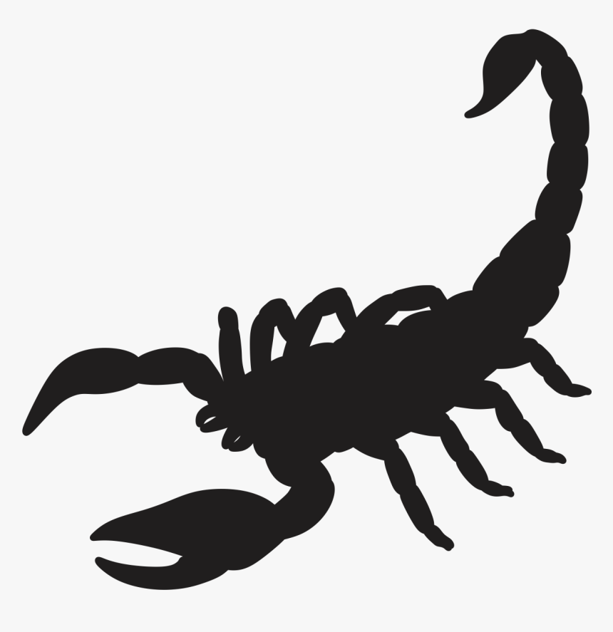 Scorpion Silhouette Drawing - Scorpion Silhouette Png, Transparent Png, Free Download