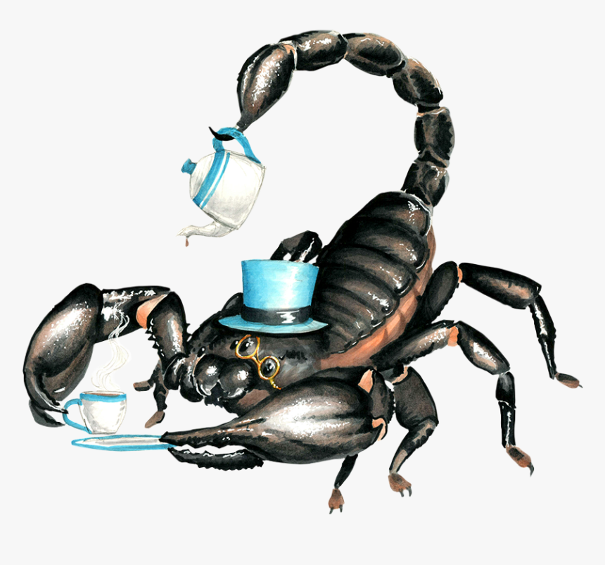 Scorpion, HD Png Download, Free Download