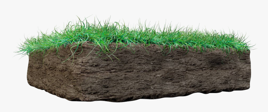 Grass On Mud Png Image - Soil And Grass Png, Transparent Png, Free Download