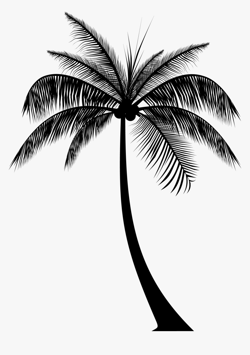 Transparent Palm Tree Silhouette Png - Silhouette Palm Trees Png, Png ...