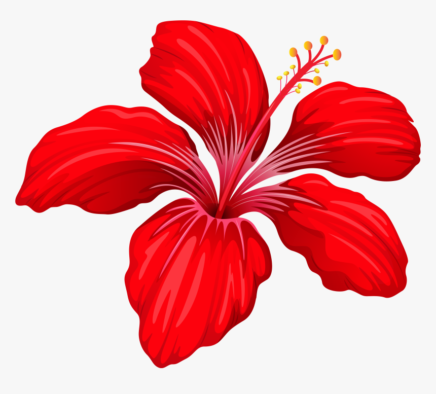 Red Flowers Png Transparent, Png Download, Free Download