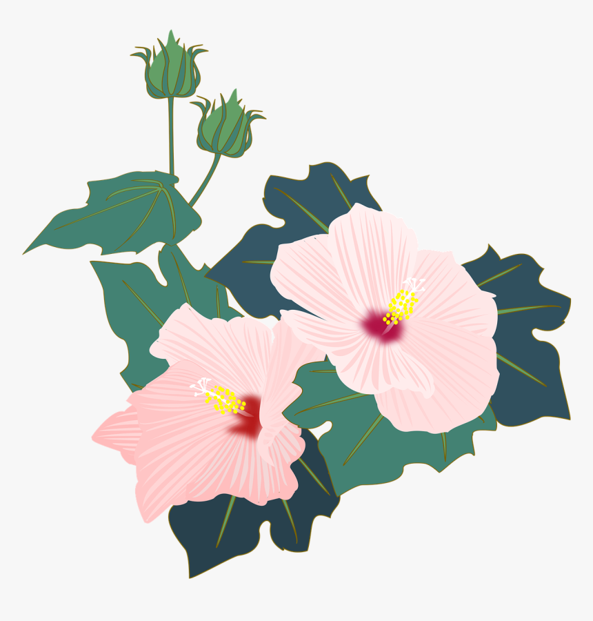 Hibiscus Mutabilis Flower Icon, HD Png Download, Free Download