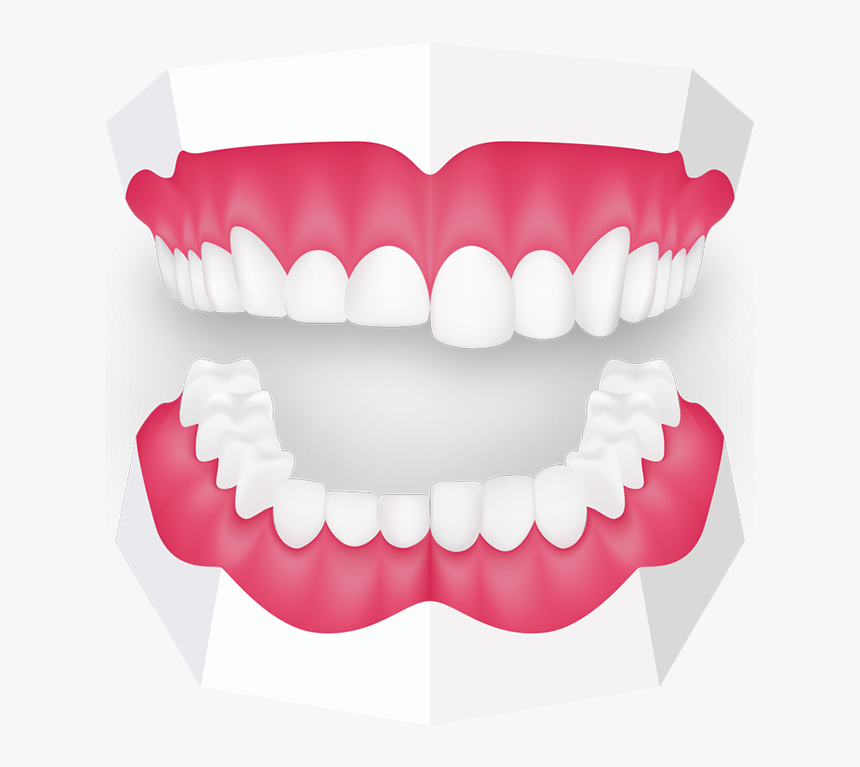 Custom Made Mouth Guard, HD Png Download, Free Download