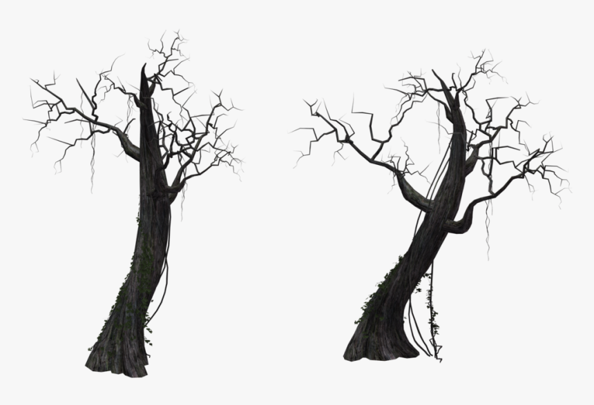 Dead Tree 01 By Free Stock By - Black Dead Tree Png, Transparent Png, Free Download