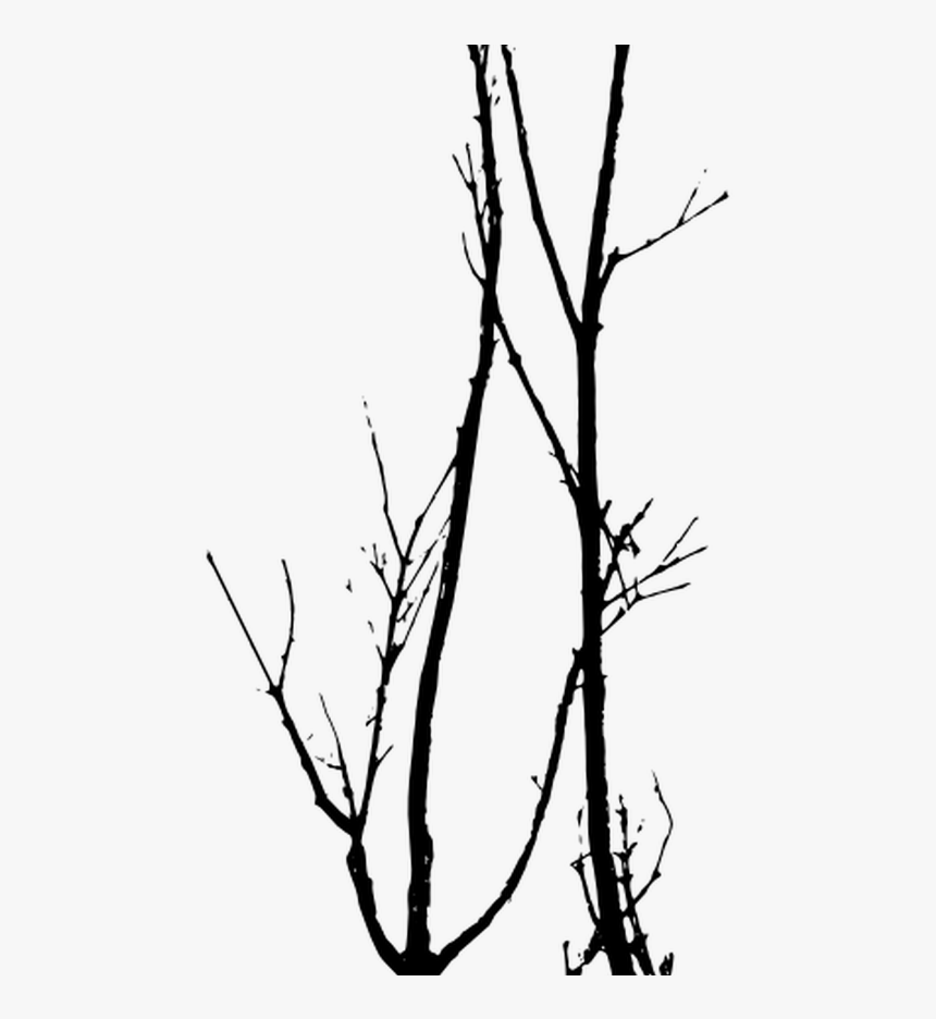 Dead Trees Vector Tree Silhouette Photoshop Pinterest - Dead Tree Vector, HD Png Download, Free Download