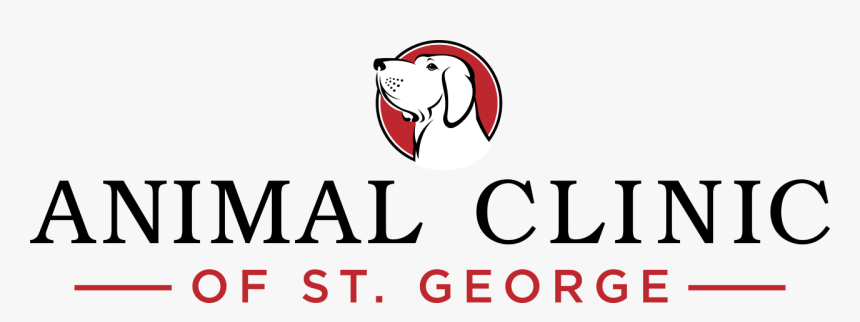 Animal Clinic Of St - Cartoon, HD Png Download, Free Download