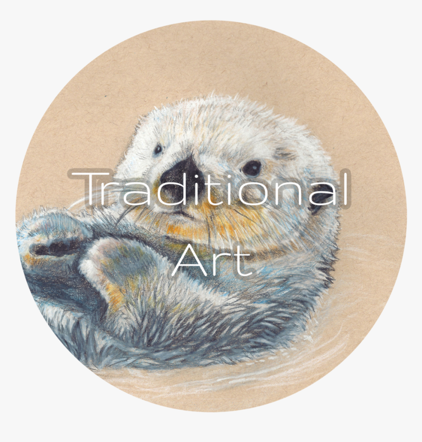 Dan Bingham Art Traditional - Sea Otter, HD Png Download, Free Download