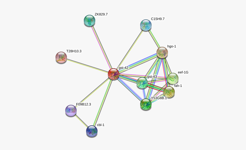 Gst-42 Protein - Circle, HD Png Download, Free Download
