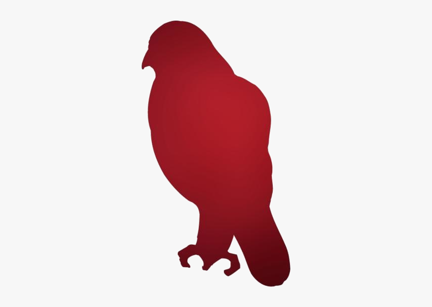 Hawk Png Free - Parrot, Transparent Png, Free Download