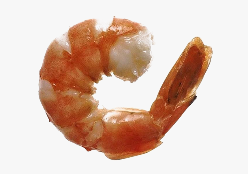 Ocean Shrimp Transparent Free Png - Litopenaeus Setiferus, Png Download, Free Download