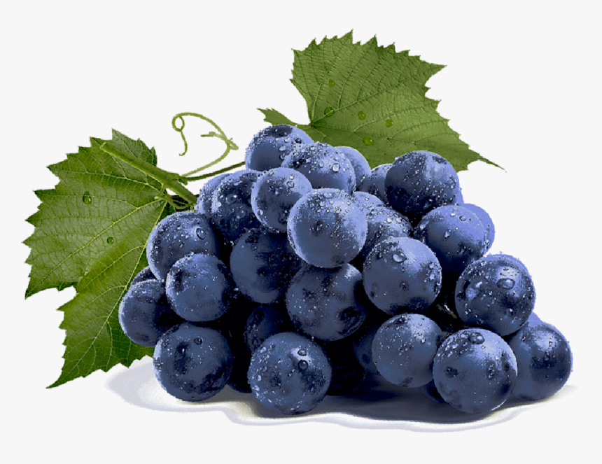 Blueberry - Tugboat Grape, HD Png Download, Free Download