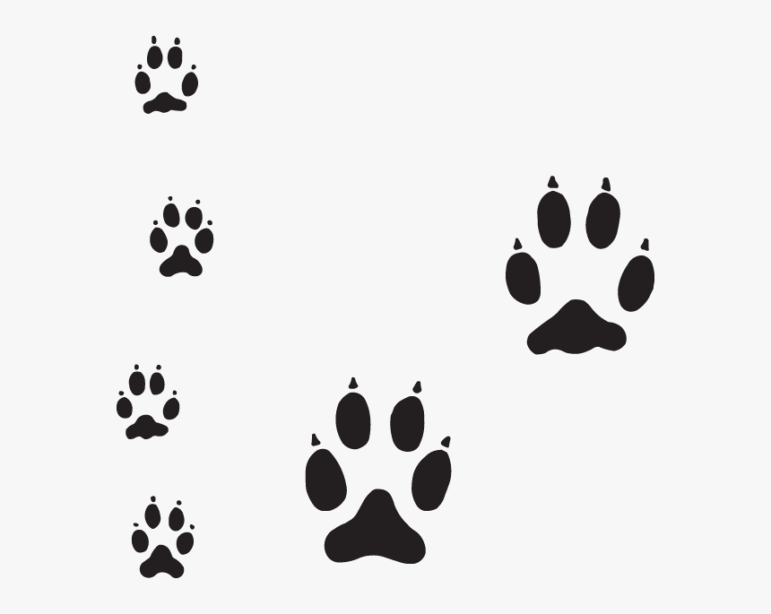 Dog Paw Tracks , Png Download - Dog Paw Tracks, Transparent Png, Free Download