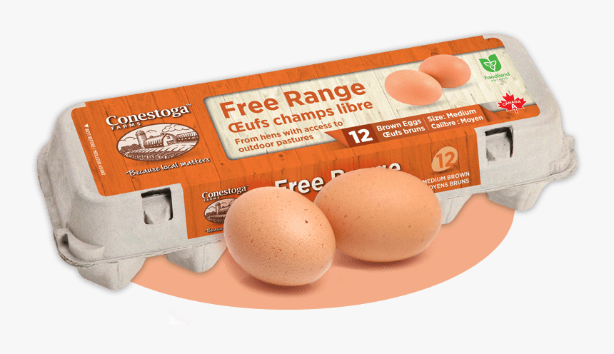 Free Range Eggs - Conestoga Farm Free Run Eggs, HD Png Download, Free Download