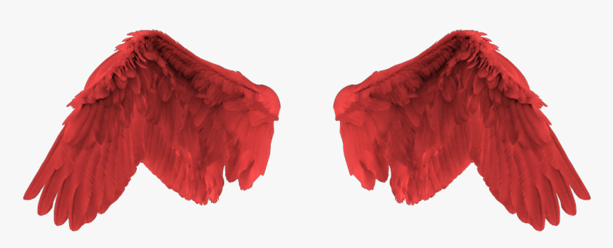 Red Angel Wings Svg