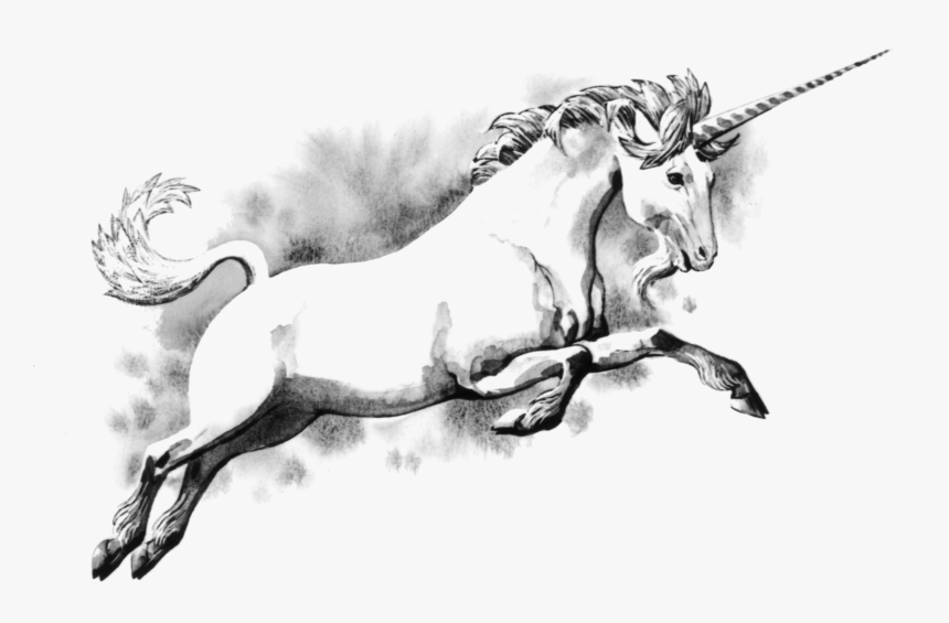 The Horn Of A Unicorn, HD Png Download, Free Download