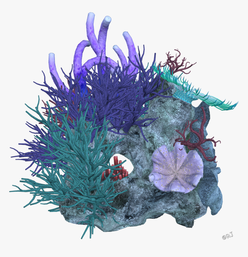 Reef Deep Sea Transprent - Sea Coral Transparent Png, Png Download ...